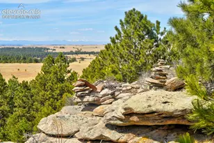 18673 N Elbert Rd, Elbert, CO 80106 - Photo 4