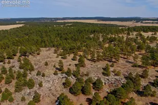 18673 N Elbert Rd, Elbert, CO 80106 - Photo 22