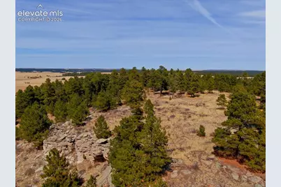 18673 N Elbert Road, Elbert, CO 80106 - Photo 6