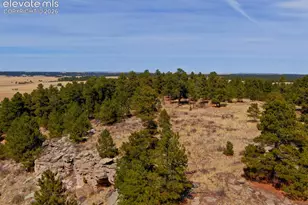 18673 N Elbert Rd, Elbert, CO 80106 - Photo 6
