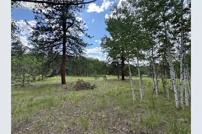 117 Vagabond Creek Terrace, Lake George, CO 80827 - Photo 6