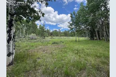 117 Vagabond Creek Terrace, Lake George, CO 80827 - Photo 1