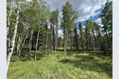 117 Vagabond Creek Terrace, Lake George, CO 80827 - Photo 4