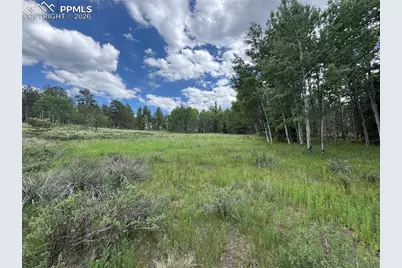 117 Vagabond Creek Terrace, Lake George, CO 80827 - Photo 8