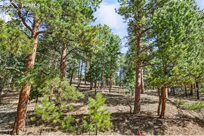 156 E Ridge Drive, Woodland Park, CO 80863 - Photo 6