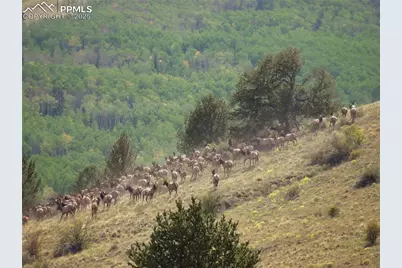 Tbd Highway 9, Guffey, CO 80820 - Photo 8
