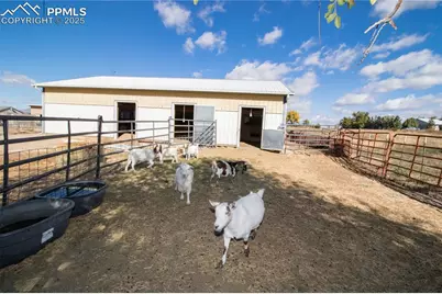 1037 12th Street, Penrose, CO 81240 - Photo 34
