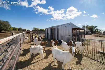 1037 12th Street, Penrose, CO 81240 - Photo 44