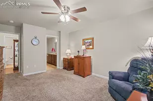 8167 Mockorange Heights, Colorado Springs, CO 80908 - Photo 16