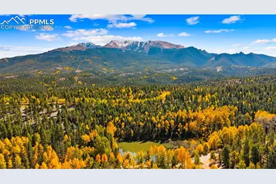 2558 County Road 28, Woodland Park, CO 80863 - Photo 50