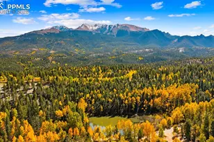 2558 Co Rd 28, Woodland Park, CO 80863 - Photo 50