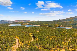 2558 Co Rd 28, Woodland Park, CO 80863 - Photo 48