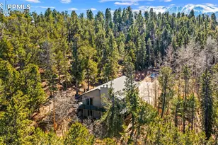 2558 Co Rd 28, Woodland Park, CO 80863 - Photo 38