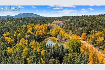 2558 County Road 28, Woodland Park, CO 80863 - Photo 4