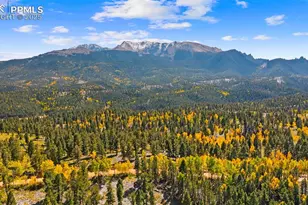 2558 Co Rd 28, Woodland Park, CO 80863 - Photo 42