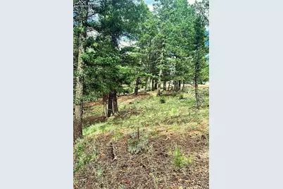 179 Kenosha Way, Florissant, CO 80816 - Photo 4