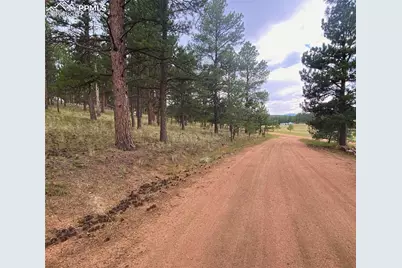 60 Pickens Road, Florissant, CO 80816 - Photo 10