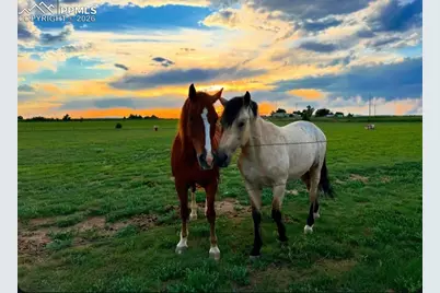 36925 Shear Road, Yoder, CO 80864 - Photo 34