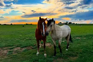 36925 Shear Rd, Yoder, CO 80864 - Photo 34