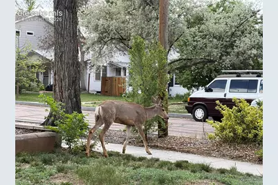 223 Custer Avenue, Colorado Springs, CO 80903 - Photo 24