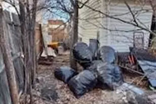 4550 London Ln, Colorado Springs, CO 80916 - Photo 28