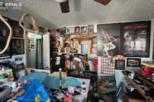 4550 London Ln, Colorado Springs, CO 80916 - Photo 4