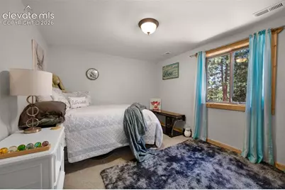 897 Fossil Creek Road, Florissant, CO 80816 - Photo 30