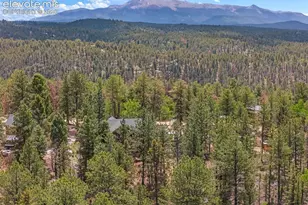 897 Fossil Creek Rd, Florissant, CO 80816 - Photo 4