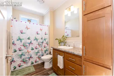 22044 Osteen Court, Calhan, CO 80808 - Photo 22