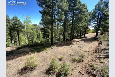 210 Waterfall Loop, Manitou Springs, CO 80829 - Photo 8