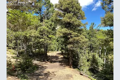 210 Waterfall Loop, Manitou Springs, CO 80829 - Photo 6