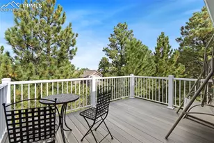 1380 Old Antlers Way, Monument, CO 80132 - Photo 46