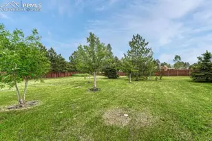 745 Platt Ln, Palmer Lake, CO 80133 - Photo 42