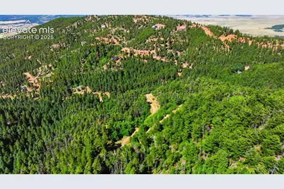 13488 S Firedog Way, Larkspur, CO 80118 - Photo 2