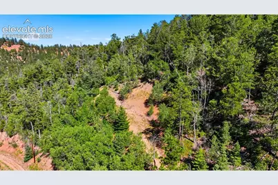 13488 S Firedog Way, Larkspur, CO 80118 - Photo 8