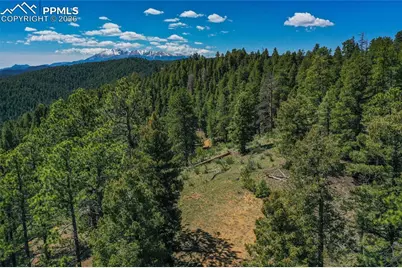 29545 Highway 67, Woodland Park, CO 80863 - Photo 16
