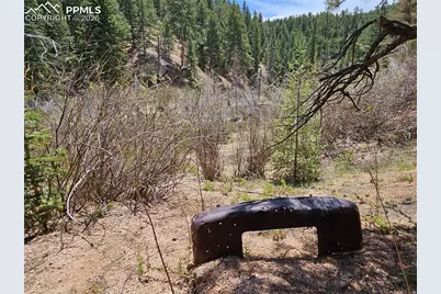 29545 Highway 67, Woodland Park, CO 80863 - Photo 44