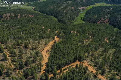 29545 Highway 67, Woodland Park, CO 80863 - Photo 14