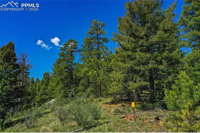 29545 Highway 67, Woodland Park, CO 80863 - Photo 22