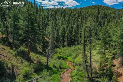 29545 Highway 67, Woodland Park, CO 80863 - Photo 6