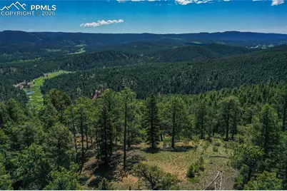 29545 Highway 67, Woodland Park, CO 80863 - Photo 18