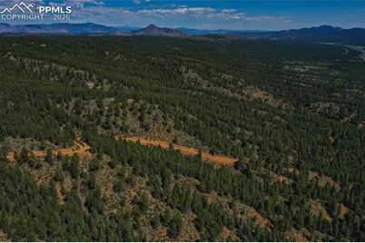 29545 Highway 67, Woodland Park, CO 80863 - Photo 38