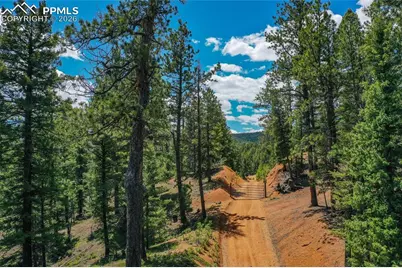 29545 Highway 67, Woodland Park, CO 80863 - Photo 32