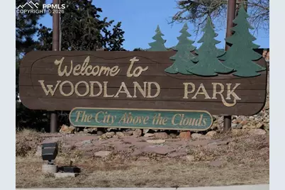 29545 Highway 67, Woodland Park, CO 80863 - Photo 2