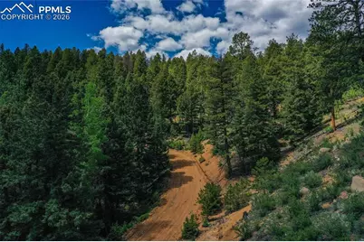 29545 Highway 67, Woodland Park, CO 80863 - Photo 26