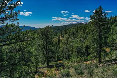 29545 Highway 67, Woodland Park, CO 80863 - Photo 24