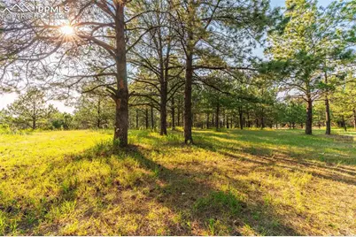 294 Panorama Drive, Elizabeth, CO 80107 - Photo 50