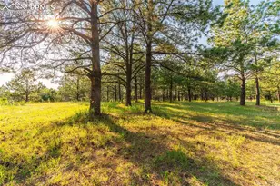 294 Panorama Dr, Elizabeth, CO 80107 - Photo 50