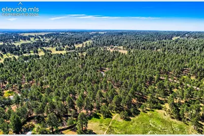 8750 Tannenbaum Road, Colorado Springs, CO 80908 - Photo 48