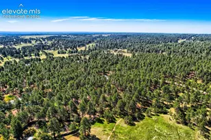 8750 Tannenbaum Rd, Colorado Springs, CO 80908 - Photo 48